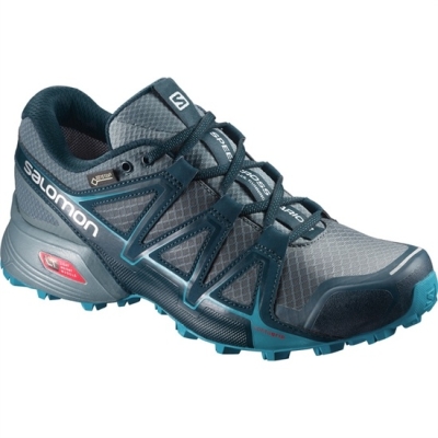 Women's Salomon SPEEDCROSS VARIO 2 GTX W Trail Running Shoes Silver | US-EJDU894